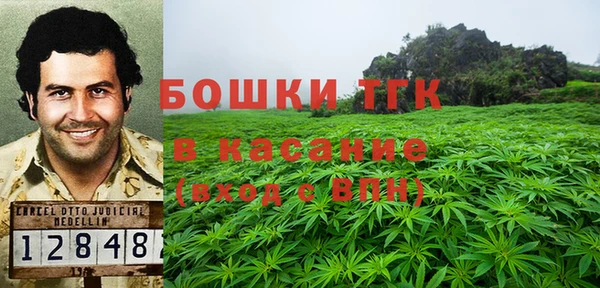 стаф Каменск-Шахтинский