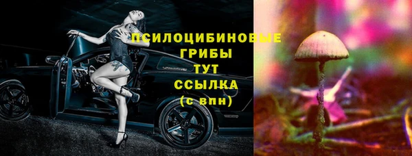 метадон Каменногорск