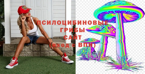 метадон Каменногорск