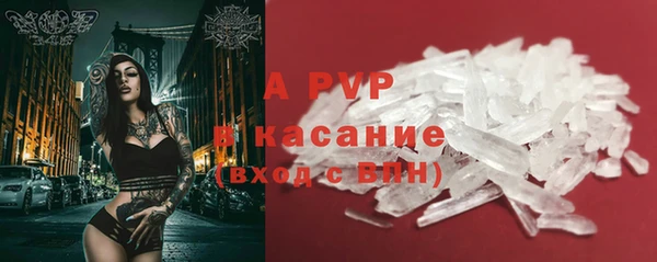 стаф Каменск-Шахтинский