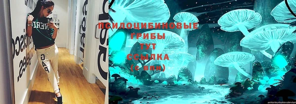 мет Каменка