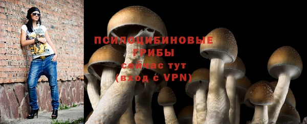 мескалин Инсар